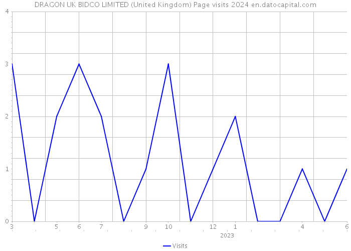 DRAGON UK BIDCO LIMITED (United Kingdom) Page visits 2024 