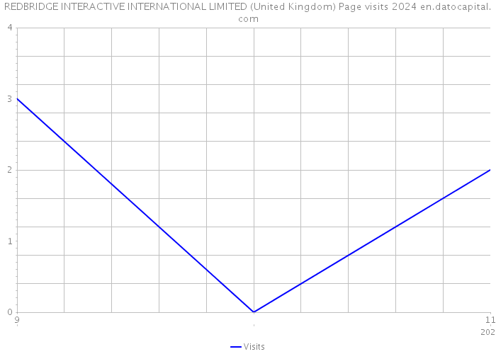 REDBRIDGE INTERACTIVE INTERNATIONAL LIMITED (United Kingdom) Page visits 2024 