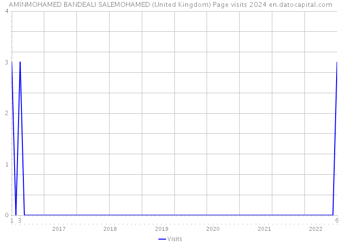 AMINMOHAMED BANDEALI SALEMOHAMED (United Kingdom) Page visits 2024 