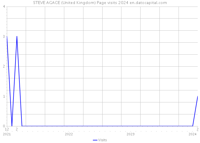 STEVE AGACE (United Kingdom) Page visits 2024 