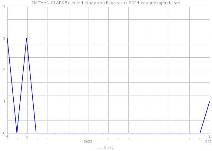 NATHAN CLARKE (United Kingdom) Page visits 2024 