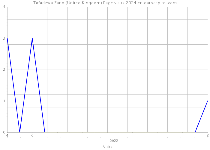Tafadzwa Zano (United Kingdom) Page visits 2024 