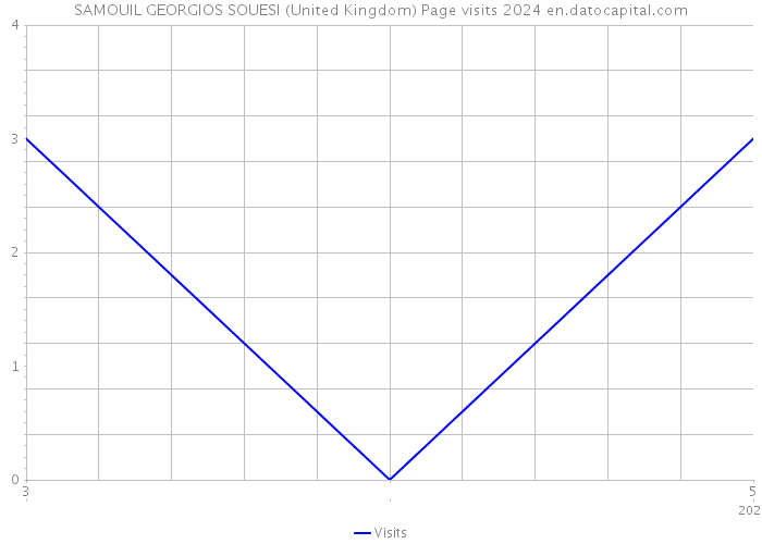 SAMOUIL GEORGIOS SOUESI (United Kingdom) Page visits 2024 