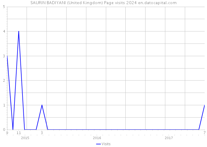 SAURIN BADIYANI (United Kingdom) Page visits 2024 