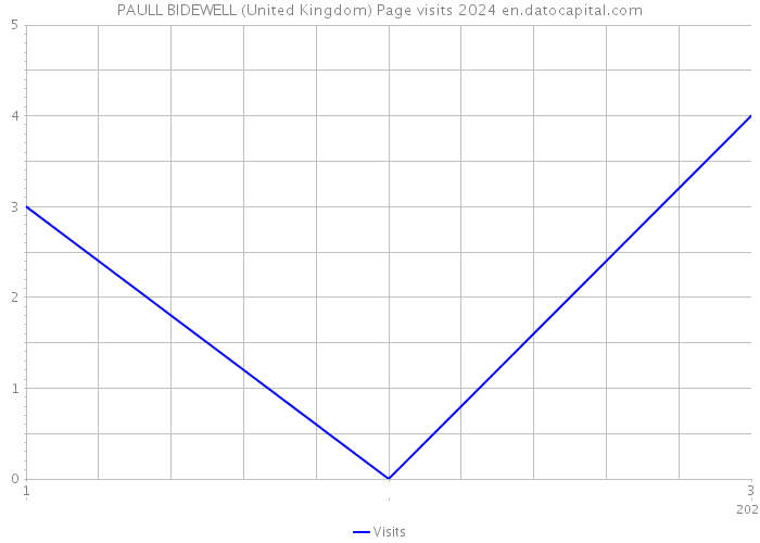 PAULL BIDEWELL (United Kingdom) Page visits 2024 