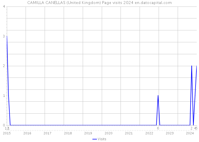 CAMILLA CANELLAS (United Kingdom) Page visits 2024 