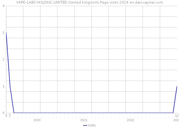 VAPE-LABS HOLDING LIMITED (United Kingdom) Page visits 2024 