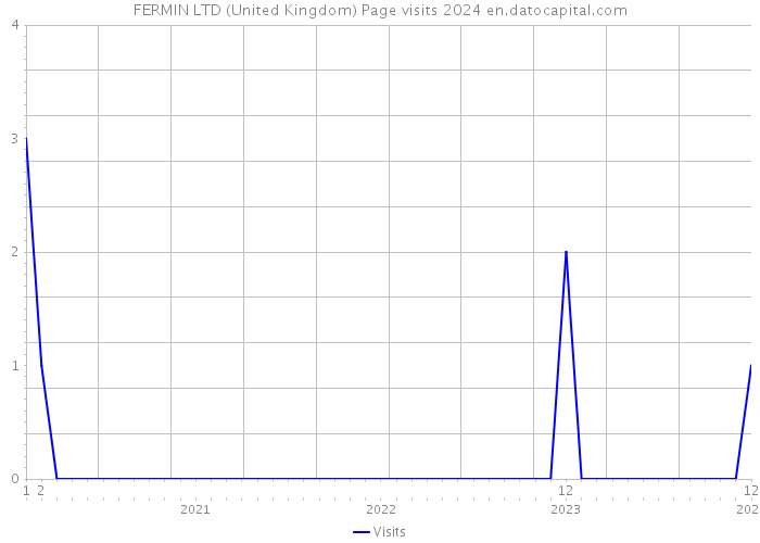 FERMIN LTD (United Kingdom) Page visits 2024 
