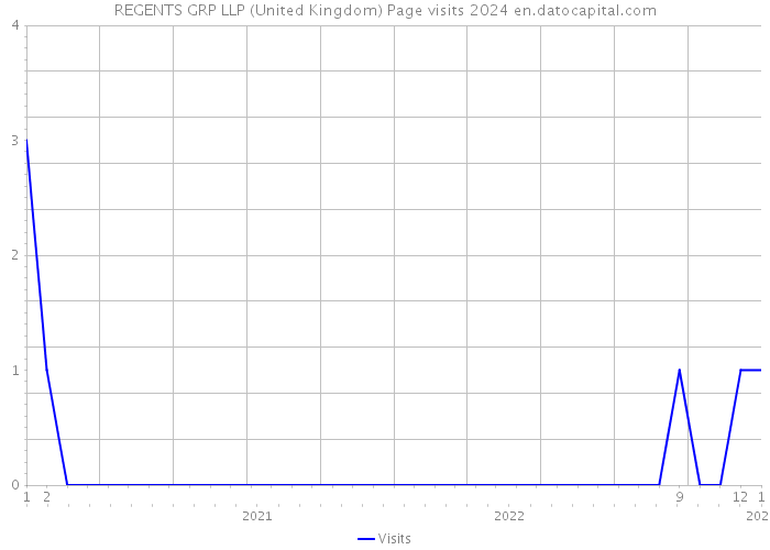 REGENTS GRP LLP (United Kingdom) Page visits 2024 
