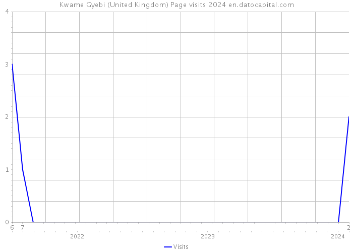 Kwame Gyebi (United Kingdom) Page visits 2024 