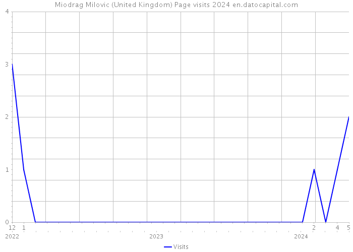 Miodrag Milovic (United Kingdom) Page visits 2024 