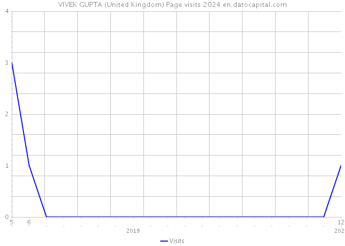 VIVEK GUPTA (United Kingdom) Page visits 2024 