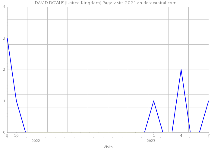 DAVID DOWLE (United Kingdom) Page visits 2024 