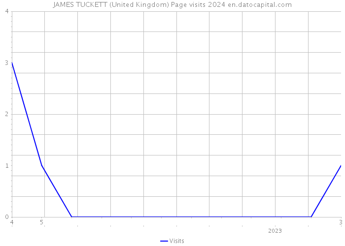 JAMES TUCKETT (United Kingdom) Page visits 2024 