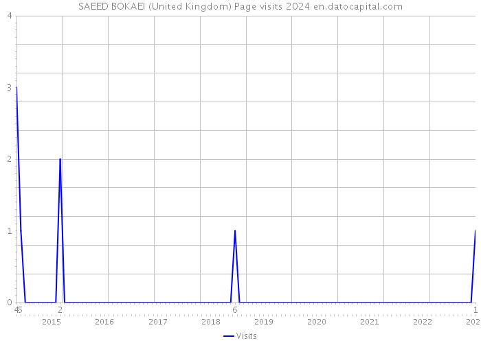 SAEED BOKAEI (United Kingdom) Page visits 2024 