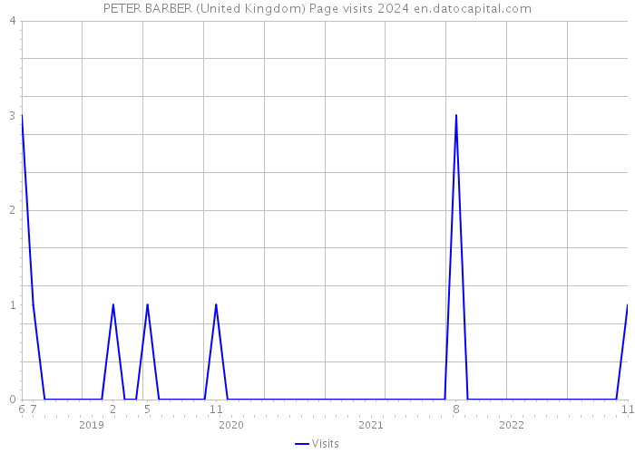 PETER BARBER (United Kingdom) Page visits 2024 