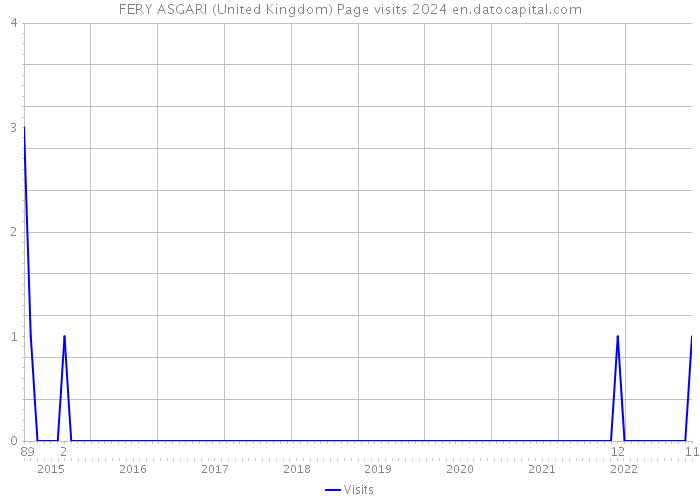 FERY ASGARI (United Kingdom) Page visits 2024 