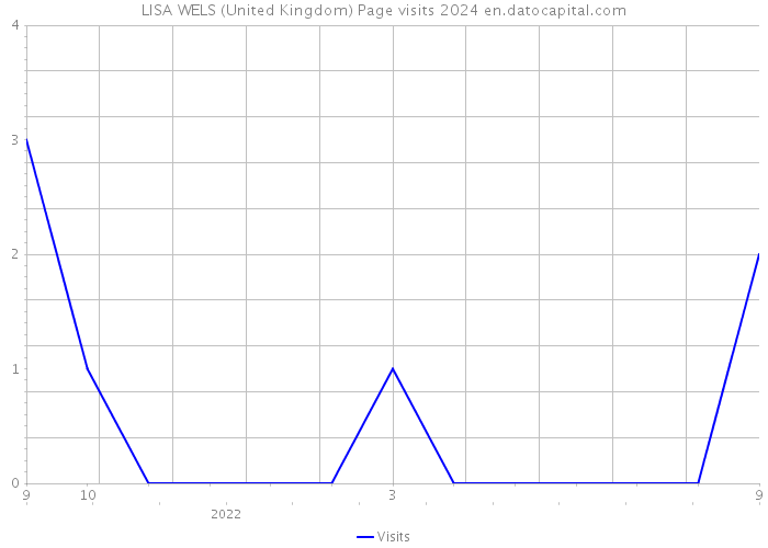 LISA WELS (United Kingdom) Page visits 2024 