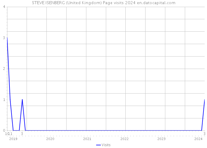STEVE ISENBERG (United Kingdom) Page visits 2024 