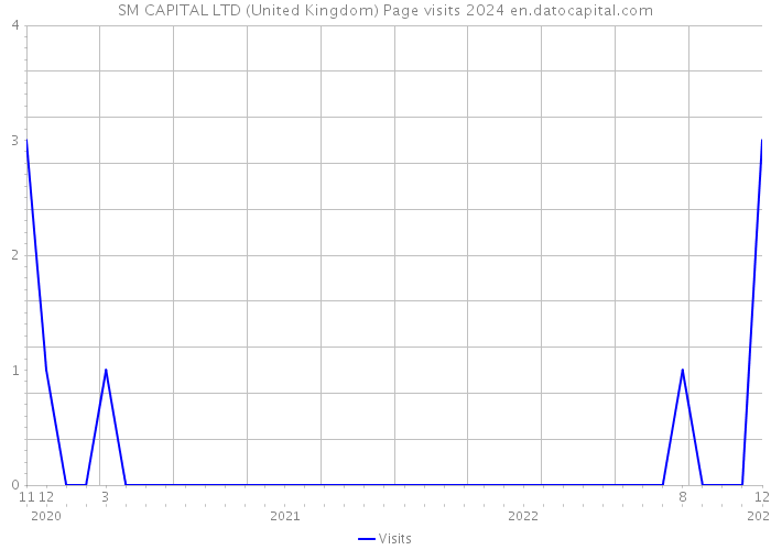 SM CAPITAL LTD (United Kingdom) Page visits 2024 