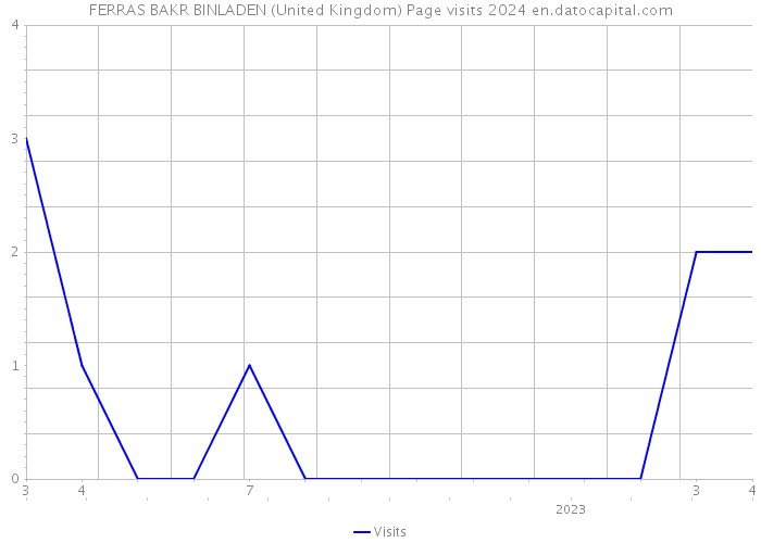 FERRAS BAKR BINLADEN (United Kingdom) Page visits 2024 