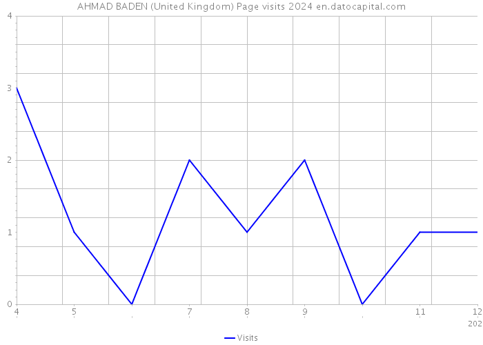 AHMAD BADEN (United Kingdom) Page visits 2024 