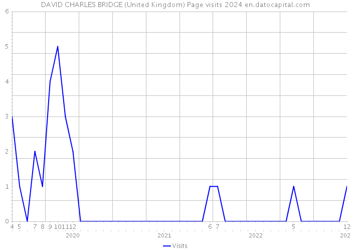 DAVID CHARLES BRIDGE (United Kingdom) Page visits 2024 
