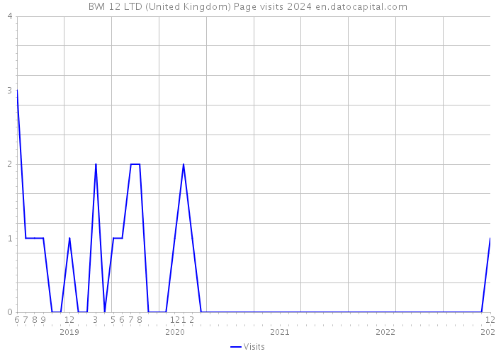 BWI 12 LTD (United Kingdom) Page visits 2024 
