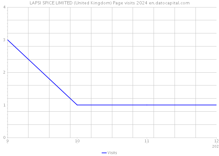 LAPSI SPICE LIMITED (United Kingdom) Page visits 2024 
