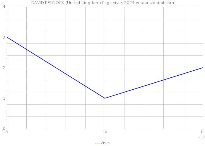 DAVID PENNOCK (United Kingdom) Page visits 2024 