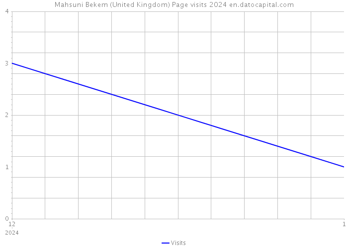 Mahsuni Bekem (United Kingdom) Page visits 2024 