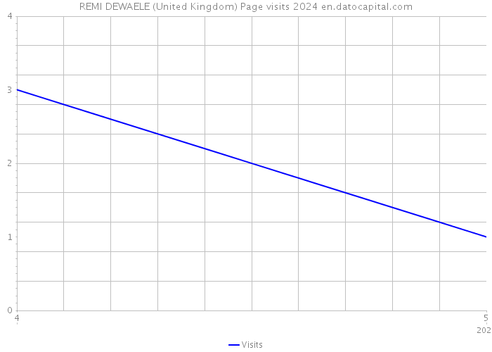 REMI DEWAELE (United Kingdom) Page visits 2024 