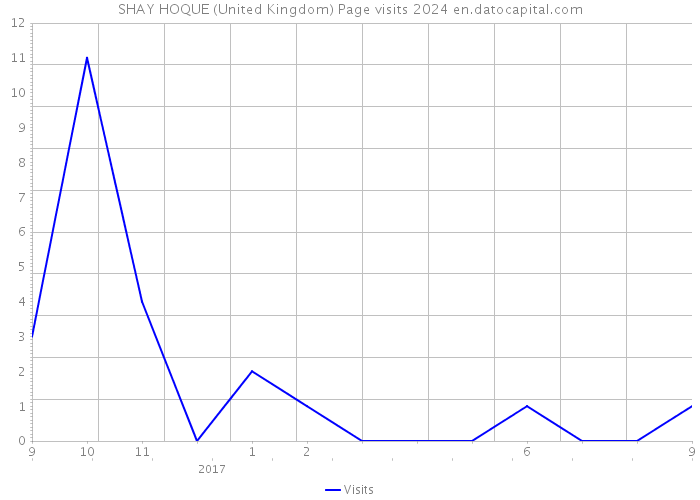 SHAY HOQUE (United Kingdom) Page visits 2024 