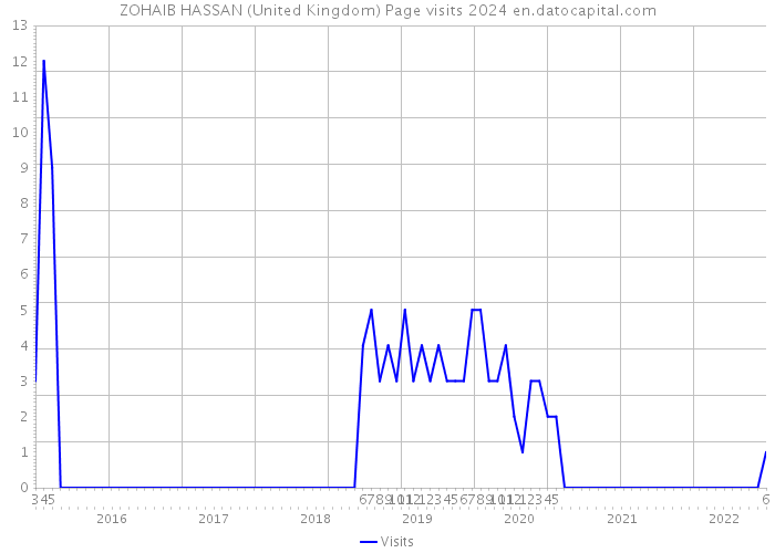 ZOHAIB HASSAN (United Kingdom) Page visits 2024 