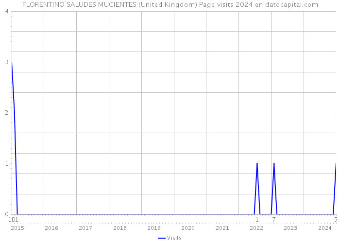 FLORENTINO SALUDES MUCIENTES (United Kingdom) Page visits 2024 