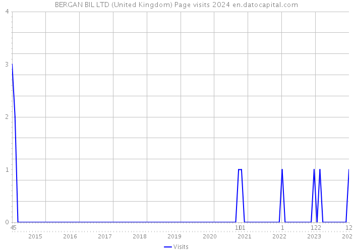 BERGAN BIL LTD (United Kingdom) Page visits 2024 