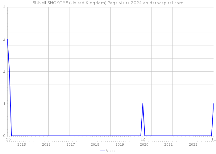 BUNMI SHOYOYE (United Kingdom) Page visits 2024 