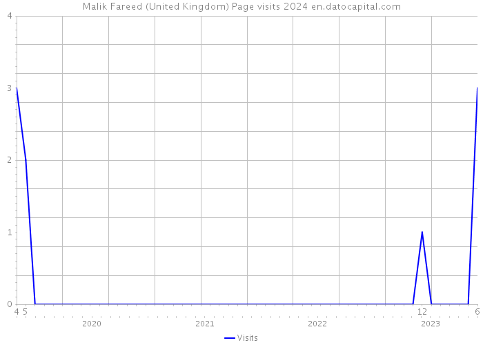 Malik Fareed (United Kingdom) Page visits 2024 