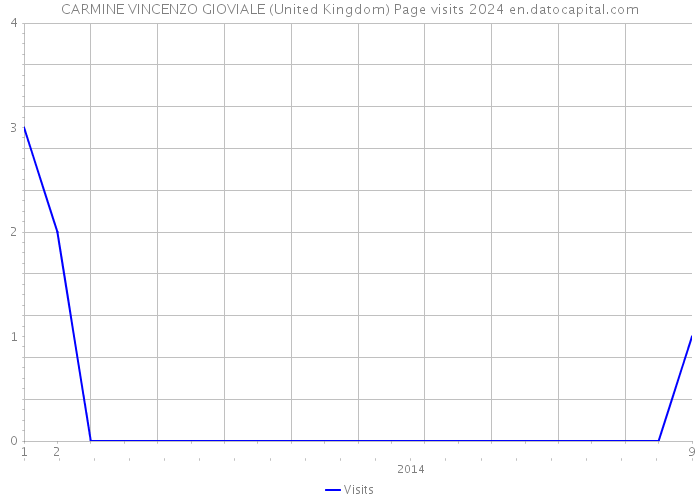 CARMINE VINCENZO GIOVIALE (United Kingdom) Page visits 2024 