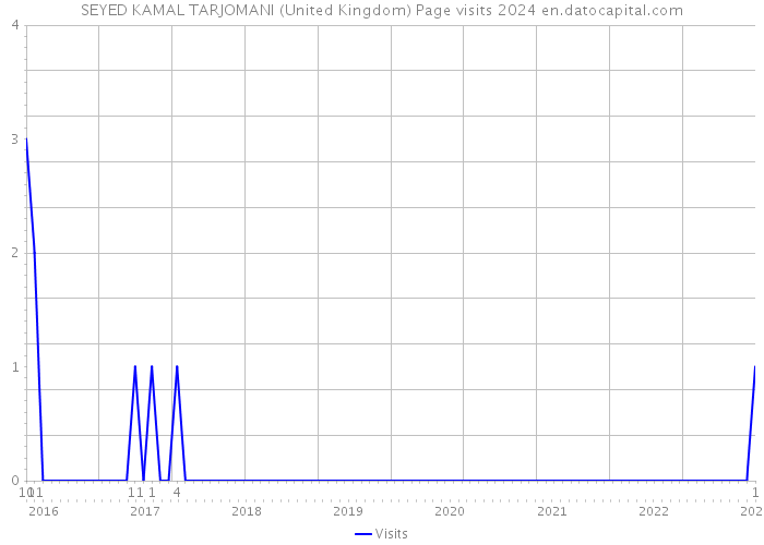 SEYED KAMAL TARJOMANI (United Kingdom) Page visits 2024 