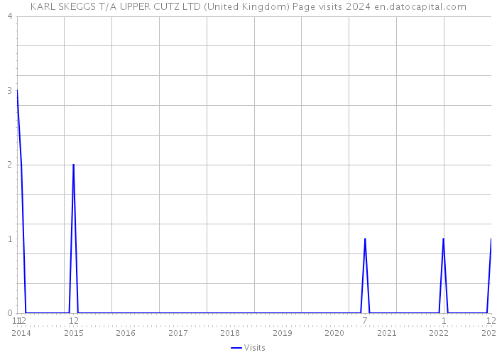 KARL SKEGGS T/A UPPER CUTZ LTD (United Kingdom) Page visits 2024 