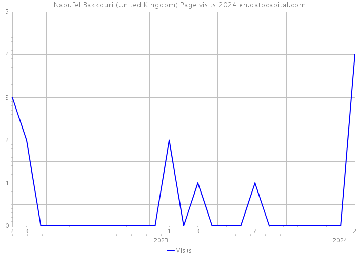 Naoufel Bakkouri (United Kingdom) Page visits 2024 