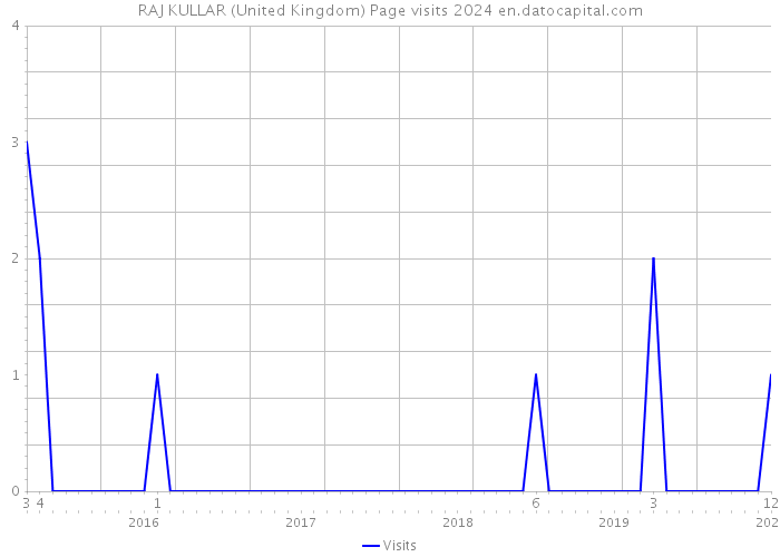 RAJ KULLAR (United Kingdom) Page visits 2024 