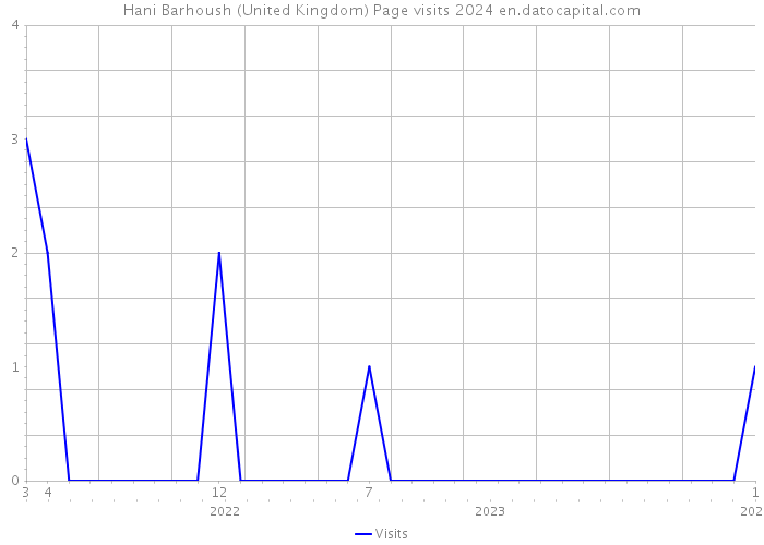 Hani Barhoush (United Kingdom) Page visits 2024 
