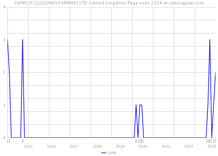 CARRICKCLOUGHAN FARMING LTD (United Kingdom) Page visits 2024 