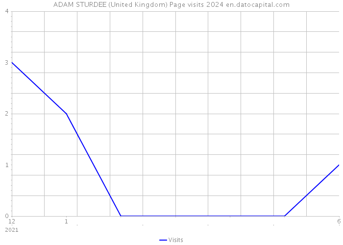 ADAM STURDEE (United Kingdom) Page visits 2024 