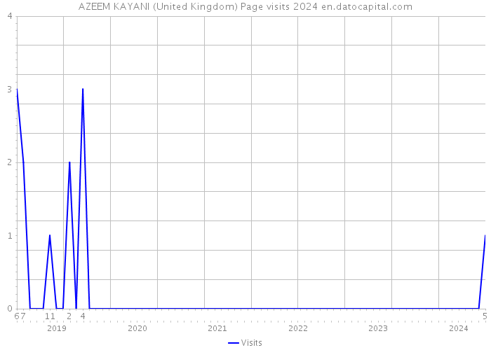 AZEEM KAYANI (United Kingdom) Page visits 2024 