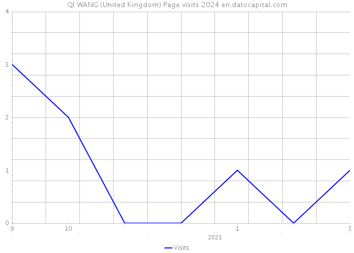 QI WANG (United Kingdom) Page visits 2024 