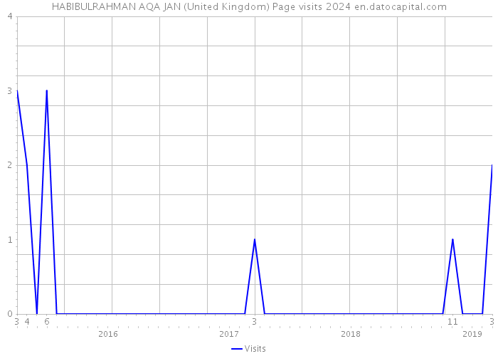 HABIBULRAHMAN AQA JAN (United Kingdom) Page visits 2024 