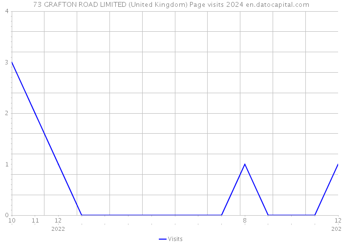 73 GRAFTON ROAD LIMITED (United Kingdom) Page visits 2024 